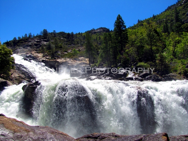 http://www.sandlerphotography.com/Photos/Rancheria Falls Hike - June 570 - 2E  -15.JPG